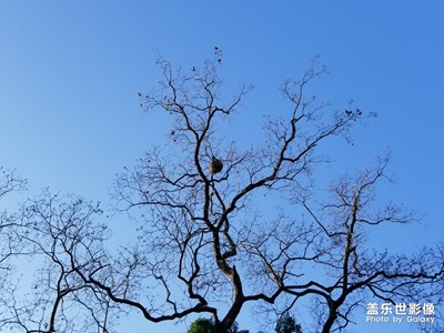 【我的生活】+難忘的年