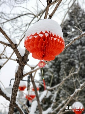 【身邊的景色】+你的樣子