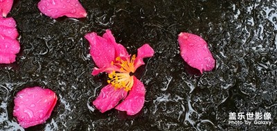 好久沒有拍照了哦