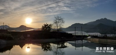 你們在家干嘛呢？