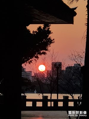 太陽
