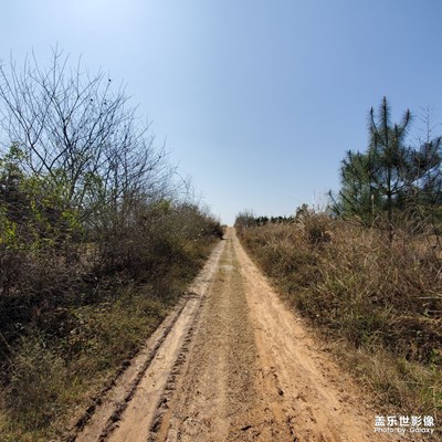 鄉(xiāng)野田間