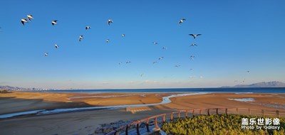 鬧特10+攝影一組