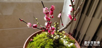 春暖花開(kāi)
