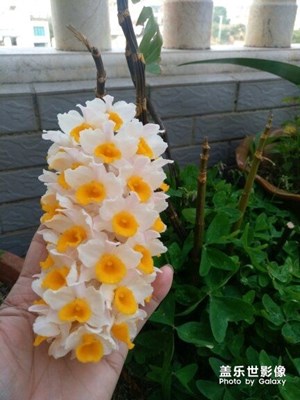 春天來了