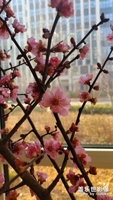 戰(zhàn)“疫”必勝