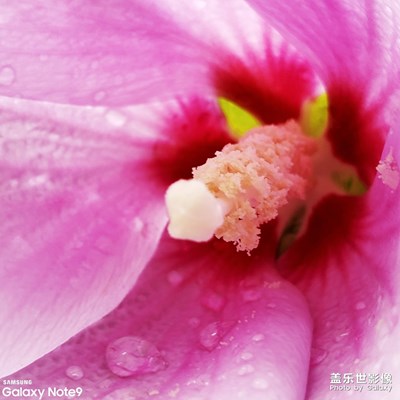 路邊滴野花??????