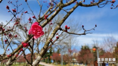 走進(jìn)春天