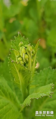 【曾經(jīng)去過的遠方】+你們肯定都不知道是哪