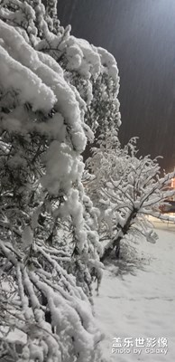 好久沒發(fā)了