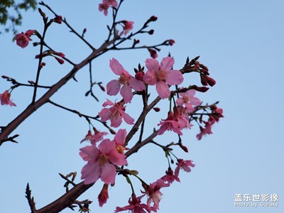 好天氣，出來走走