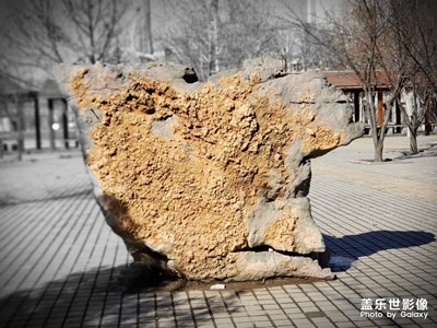【曾經(jīng)去過的遠(yuǎn)方】+家鄉(xiāng)小區(qū)