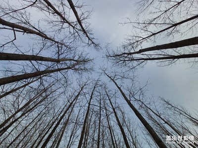 這拍照也沒有官方樣張說的好啊！