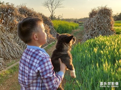 農(nóng)村的晚霞美景