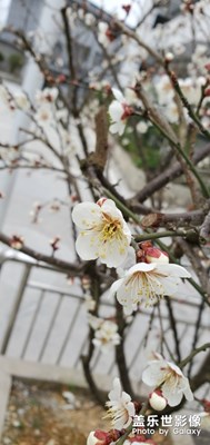 隨意