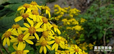 風(fēng)輕云淡，人跡稀少