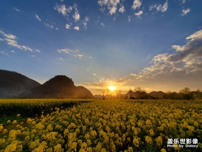 春光無(wú)限，萬(wàn)物生長(zhǎng)