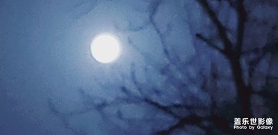 圓圓的月亮