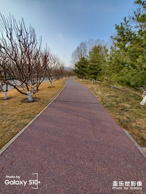 春天在哪里？春天在路上。