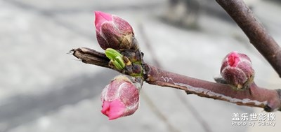【上下班的路上】+隨便拍幾張