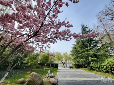 三星note10+拍攝春天的腳步。公園一角