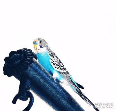 待到天朗氣清之時(shí)，再去做更多喜歡的事。