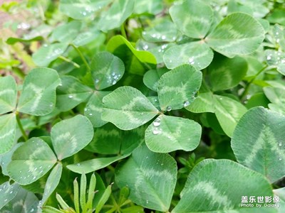 隨便拍拍，盡管手機拍照不怎么樣？