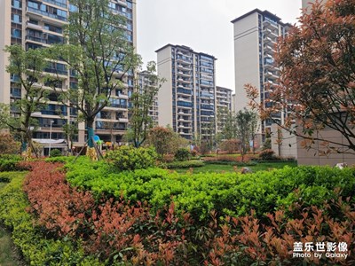 小區(qū)景色