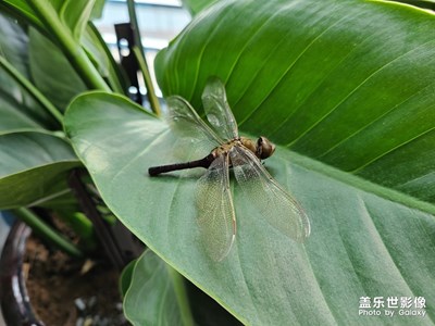 靜與動(dòng)