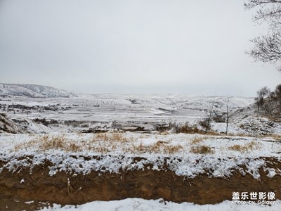 三月飛雪，