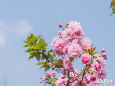 春意濃