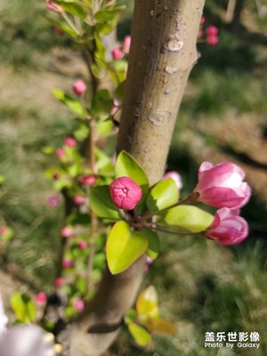 春暖花開(kāi)