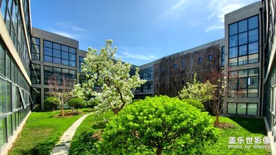 早春不過一棵樹，還有一只蟲