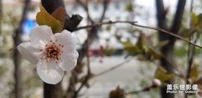 春暖花開，時節(jié)已到。