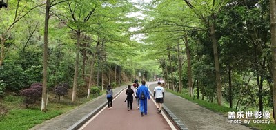 東莞，旗峰山健走