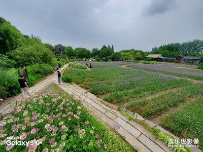 S10+鏡頭下的烏鎮(zhèn)西柵美景