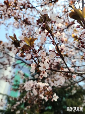 春