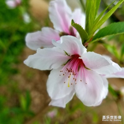 【最美瞬間】+樓下