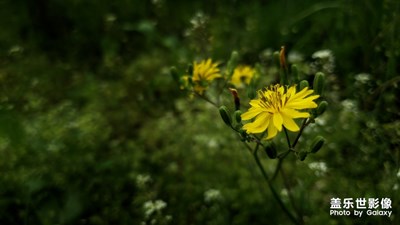 【最美瞬間】+風(fēng)雨之后