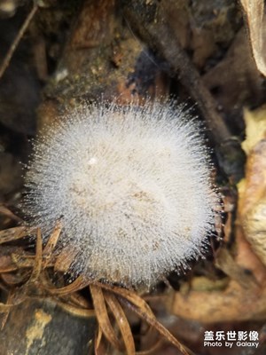 【最美瞬間】+路過的風(fēng)景