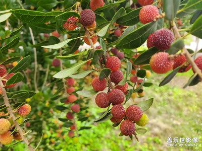 隨便發(fā)發(fā)