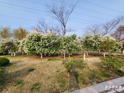 春天的花兒開(kāi)了????????????