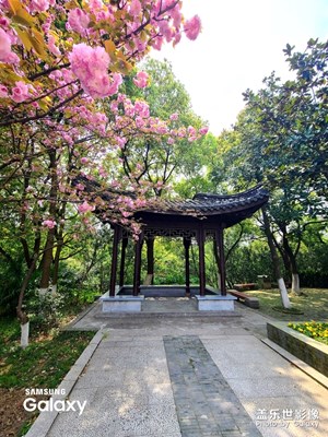 如詩畫般的公園“荊川公園”