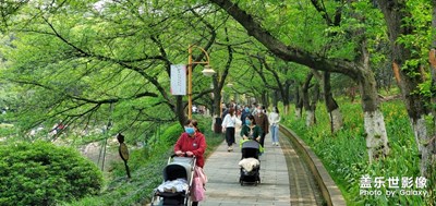 最美人間四月天