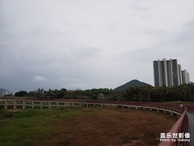 高園水庫濕地公園