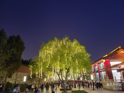 隨拍西安大雁塔新人不會(huì)玩。。。。