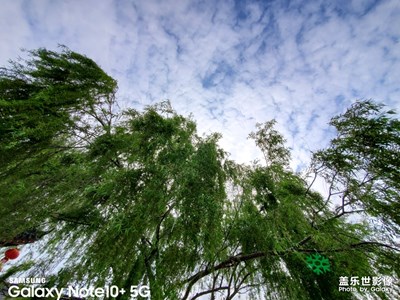 枝上柳綿吹又少，天涯何處無芳草~