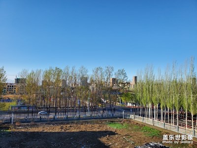 春雪后的長凳