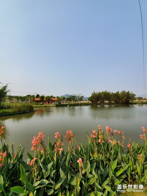 天氣晴朗出來(lái)逛逛