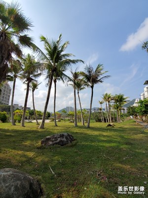 養(yǎng)眼的風景